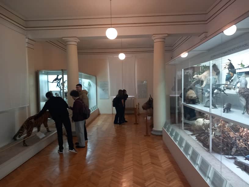 Galerija 2